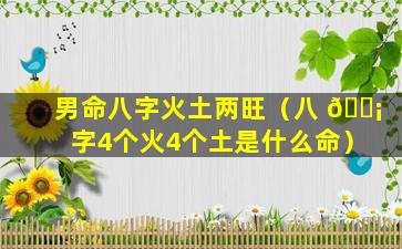 男命八字火土两旺（八 🐡 字4个火4个土是什么命）